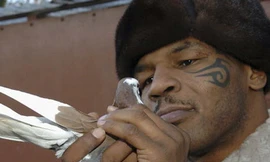 Quả đấm thép và chú bồ câu nhỏ