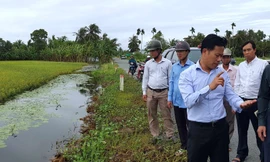 Cà Mau: Ngập diện rộng, một số nơi cho học sinh tạm nghỉ học