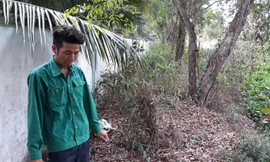 300 xác thai nhi lẫn trong rác, Chủ tịch UBND tỉnh Cà Mau yêu cầu làm rõ?