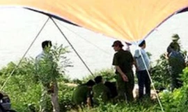 Hai cha con chết bất thường ở vuông tôm hàng xóm