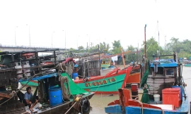 21 ngư dân bị Thái Lan bắt khi trú bão được thả về