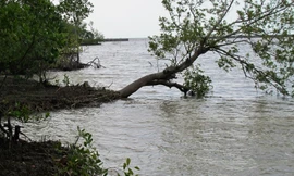 Đê biển Tây sạt lở nghiêm trọng trong mưa bão