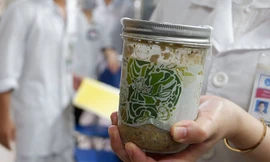 Ảnh minh họa: Internet