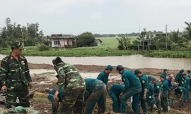 Hàng chục ngàn hộ dân nơm nớp lo vỡ đê, Cà Mau cần ban bố tình trạng khẩn cấp