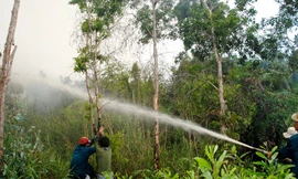 Cháy 2.000 m2 rừng U Minh Hạ