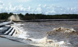 Triều cường dâng cao, sóng lớn, đê biển Tây có nguy cơ vỡ.