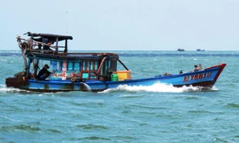 Khẩn trương tìm kiếm bốn ngư phủ mất tích trên biển Cà Mau