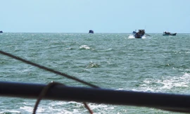 Hoạt động khai thác biển trên vùng biển Tây Nam Cà Mau (ảnh minh hoạ)