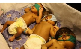 Đột nhập 'nhà máy sản xuất trẻ em'