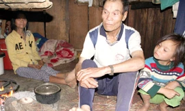 Sống giữa 'thánh địa' sâm vẫn nghèo nhất nước