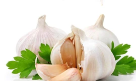 Phát hiện cơ chế giảm mỡ máu, giảm béo của dầu tỏi tía