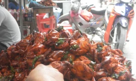 Chim quay Ninh Hiệp có màu gạch non nhờ... bột sắt