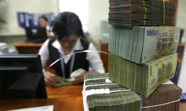 Khuyến cáo Việt Nam cải cách tài khóa triệt để