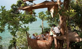 Độc đáo nhà hàng trên cây