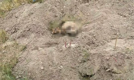 Phát hiện sọ người ở bãi bồi sông Hồng