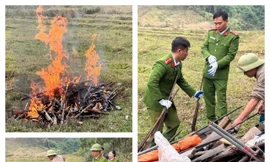 Tuyên Quang tiêu hủy gần 200 vũ khí, công cụ hỗ trợ