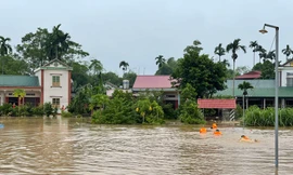 Nước sông Hồng dâng cao mức báo động, di dời khẩn cấp 289 hộ dân