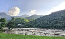 Thiệt hại tại Làng Nủ: Giảm 29 người mất tích so với báo cáo ban đầu