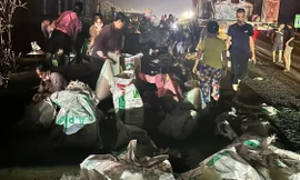 Xác minh tin 'hôi của' trên cao tốc Nội Bài – Lào Cai bất chấp lời van xin của lái xe