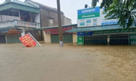 Vĩnh Phúc phát lệnh báo động lũ mức 3 trên sông Phó Đáy