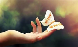 Tia cực tím là nguyên nhân chính gây nên căn bệnh này. Do đó, nhất thiết người dân phải thực hiện các biện pháp chống nắng để bảo vệ da, tránh nguy cơ gây ung thư. Ảnh minh hoạ: Internet