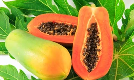 Ảnh minh hoạ: Internet