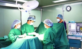 Ảnh minh hoạ: Internet