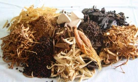 Ảnh minh hoạ: Internet