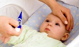 Ảnh minh họa: Internet