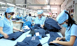 Ảnh minh họa: Internet