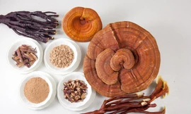 Ảnh minh hoạ: Internet