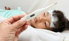 Ảnh minh họa: Internet