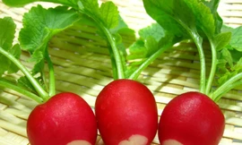 Ảnh minh hoạ: Internet