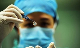 Ảnh minh hoạ: Internet