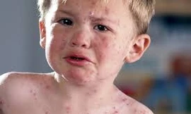 Ảnh minh họa: Internet