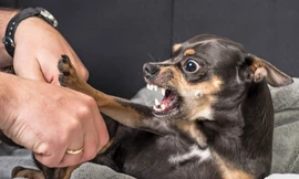 Ảnh minh hoạ: Internet