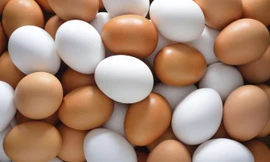 Ảnh minh hoạ: Internet