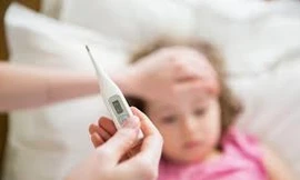 Ảnh minh hoạ: Internet