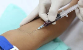 Ảnh minh họa: Internet