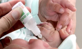 Ảnh minh hoạ: Internet