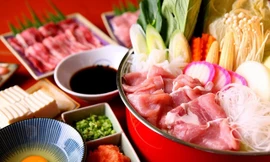 Ảnh minh hoạ: Internet