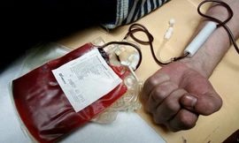 Ảnh minh họa: Internet