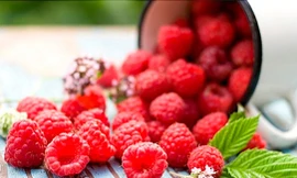 Ảnh minh hoạ: Internet