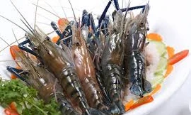 Ảnh minh hoạ: Internet