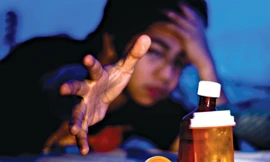 Ảnh minh hoạ: Internet