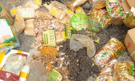 Thực phẩm không an toàn chuẩn bị được tiêu hủy. Ảnh minh họa: Internet