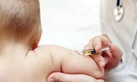 Ảnh minh hoạ: Internet