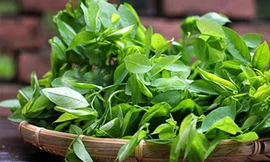 Ảnh minh hoạ: Internet