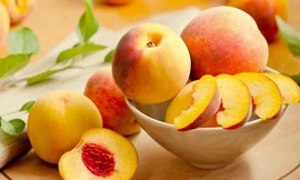 Ảnh minh hoạ: Internet