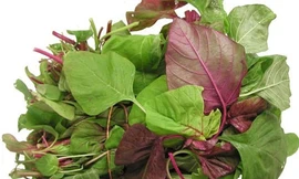 Ảnh minh hoạ: Internet